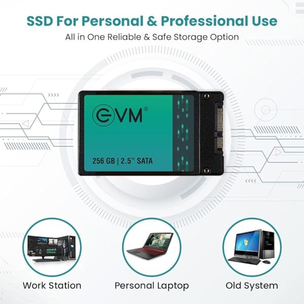 EVM 256GB 2.5 Inch SATA Internal SSD - Read: 550MB/s & Write: 500MB/s - SATA Solid-State Drive - 5Years Warranty (EVM25/256GB) - Image 2