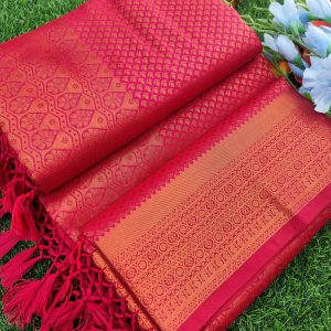 Elite Bridal Silver Zari Pick & Pick Fancy Silk Saree with Designer Tassels-0019